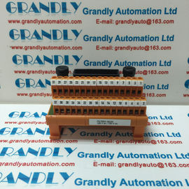 New in Stock Honeywell Weidmuller FS-TSDI-16UNI E168320 Module - grandlyauto@163.com
